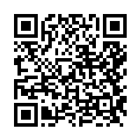 QR Code do Catálogo da Flowpress